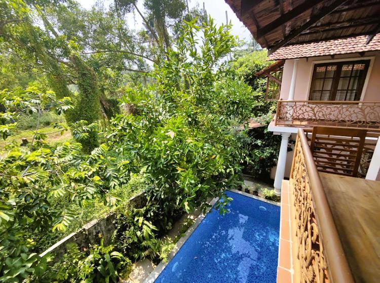 Mandaram Villas Mararikulam Zewnętrze zdjęcie